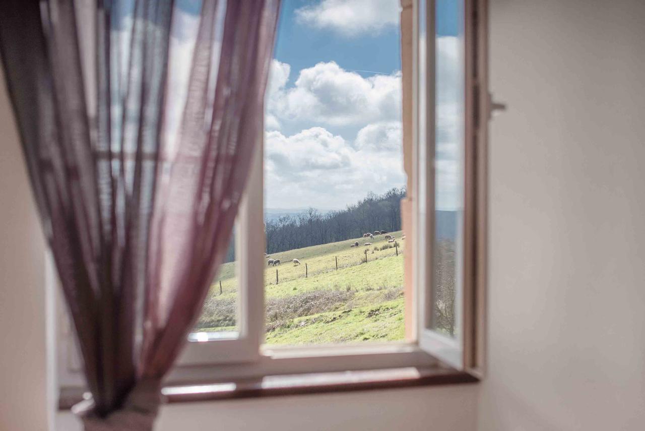 Chambres D'Hotes Le Pignie Lescure-dʼAlbigeois Kültér fotó